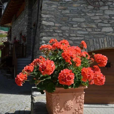 Apartment Con Giardino Villeneuve