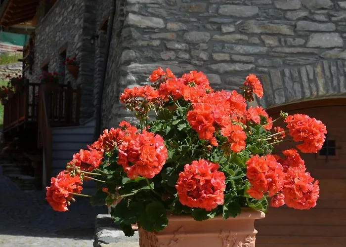 Lejlighed Con Giardino Villeneuve